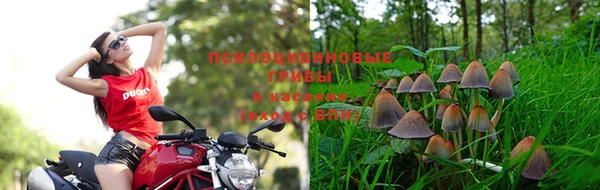 кокаин VHQ Бородино